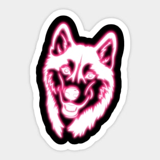 Pink Neon Husky Sticker